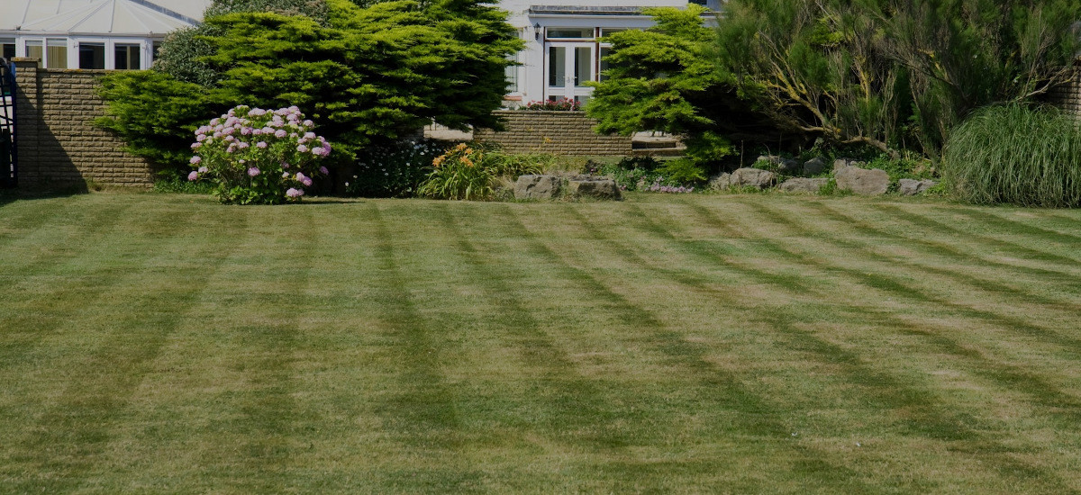 Mowing Services